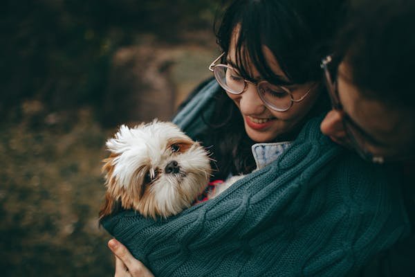 Bien s'occuper de son animal de compagnie : les secrets révélés